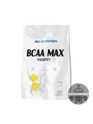BCAA MAX Support (1000 г)
