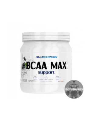 BCAA MAX Support (500 г)