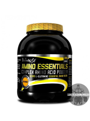 Amino Essentials