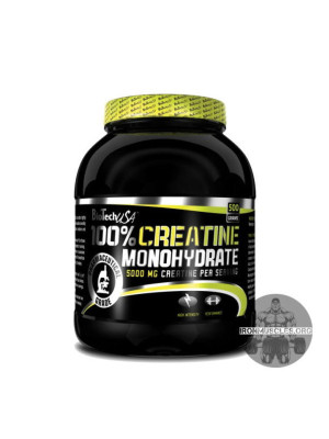 100% Creatine Monohydrate (500 г)