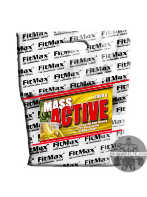 Mass Active (2 кг)