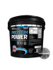 Protein Power (4 кг)