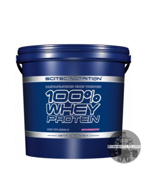100% Whey Protein (5 кг)