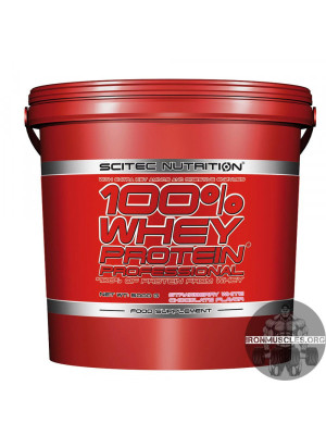 100% Whey Protein Professional (5 кг)